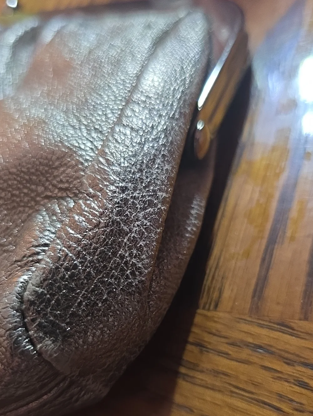 Express Genuine Leather Clutch